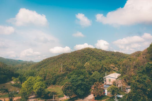 【好评中国】实体经济“根深叶茂”，中国经济“行稳致远” 新闻