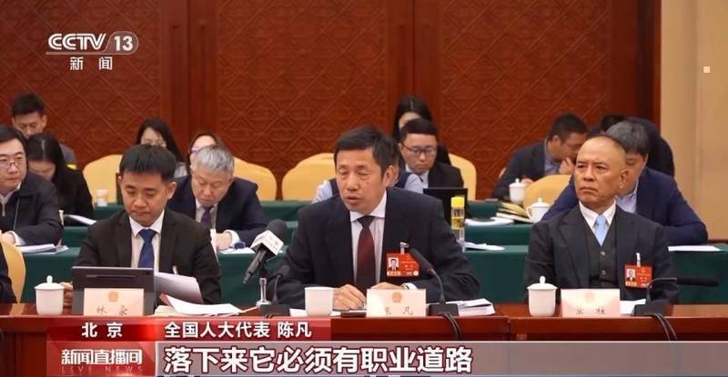  代表建言两会；教育公平如何深化；人才强国路径何在。 教育招生