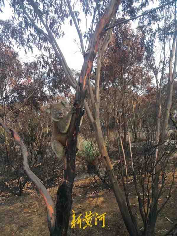 从低谷爬起,河南女性李冬菊骑行十二年;二十余国足迹遍布,她用行动书写人生新篇章。 情感心理
