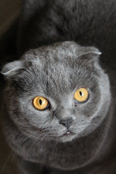 数字浪潮来袭，高校育人如何乘势而上；人才培养质量提升，正逢其时。