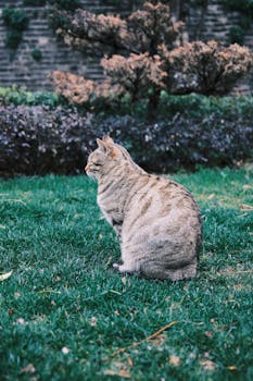 券商研究所热议开源AI;内部管控趋严,龙虾工具引发双重反应。 IT技术