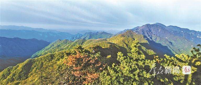  秦岭绿影悠长；湿地候鸟归来；三秦大地正书写绿色诗篇。 文化旅游