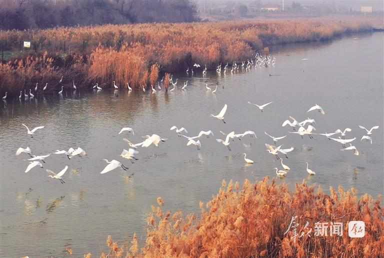  秦岭绿影悠长；湿地候鸟归来；三秦大地正书写绿色诗篇。 文化旅游