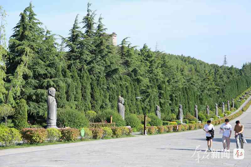  秦岭绿影悠长；湿地候鸟归来；三秦大地正书写绿色诗篇。 文化旅游