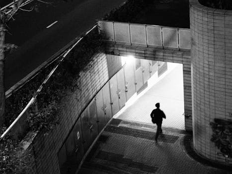 引进片数量攀升,主创团队密集来访;中国观众热情高涨,电影市场领跑全球。 娱乐新闻