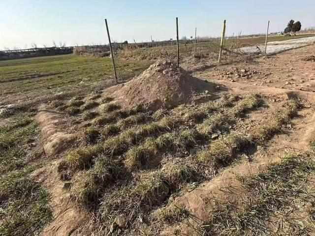  河北邯郸三姐妹祭父遇炸身亡；家属直播倾诉，竟再遭死亡威胁。 新闻 河北邯郸三姐妹祭父遇炸身亡；家属直播倾诉，竟再遭死亡威胁。 新闻 河北邯郸三姐妹祭父遇炸身亡；家属直播倾诉，竟再遭死亡威胁。 新闻