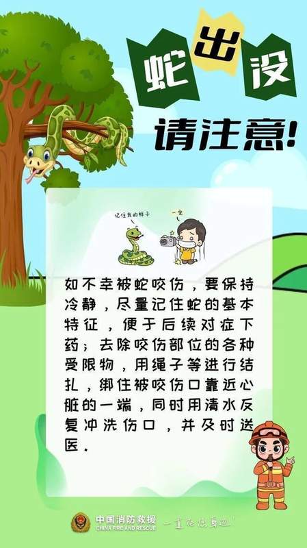  山林深处的“重量级访客”：一次蟒蛇遭遇的全流程技术复盘 新闻