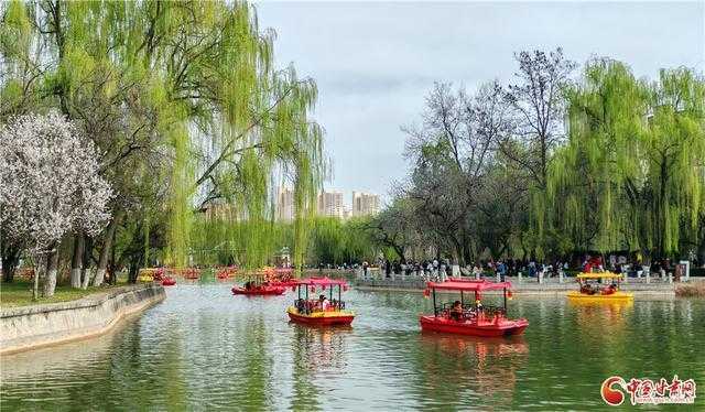  那个在黄河边放风筝的下午，让我重新读懂了什么叫慢下来 情感心理