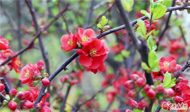  那个在黄河边放风筝的下午，让我重新读懂了什么叫慢下来 情感心理