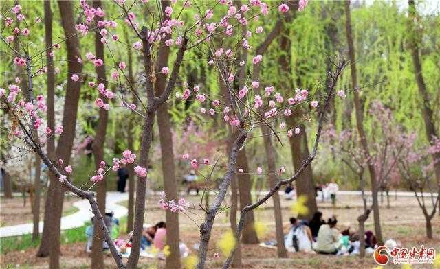  那个在黄河边放风筝的下午，让我重新读懂了什么叫慢下来 情感心理