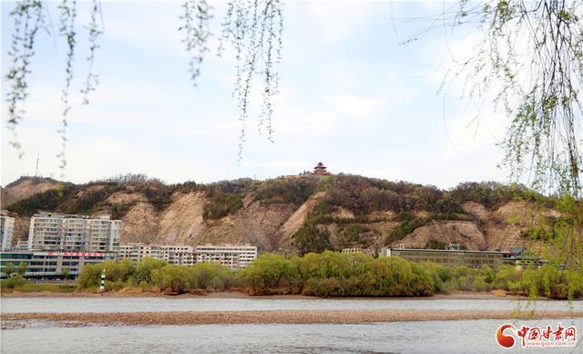  那个在黄河边放风筝的下午，让我重新读懂了什么叫慢下来 情感心理