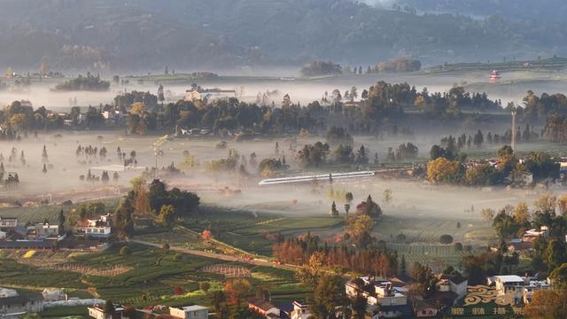  从茶田到网红打卡地：名山茶旅融合的底层逻辑与实操路径 文化旅游