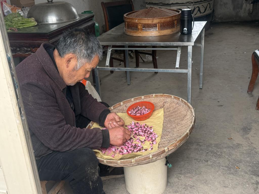  【技术深度】一朵桃花背后的农业智能化变革：赵桥村机器狗巡田启示录 IT技术