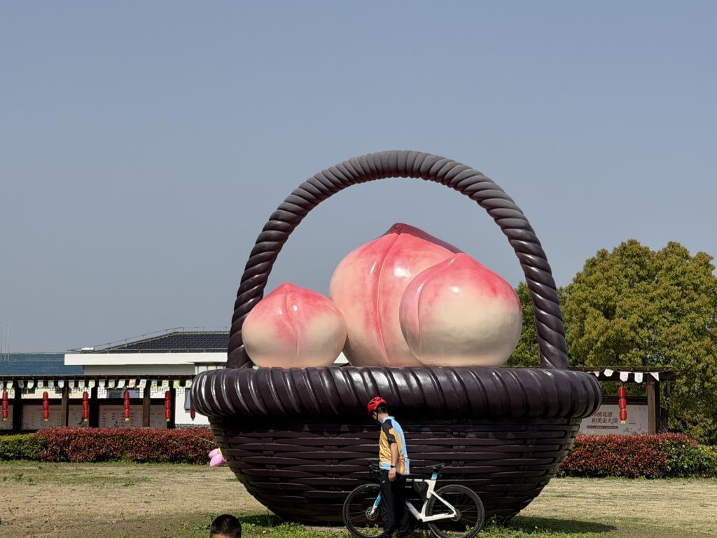  【技术深度】一朵桃花背后的农业智能化变革：赵桥村机器狗巡田启示录 IT技术