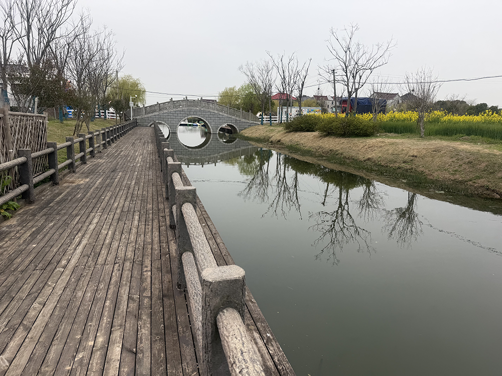  【技术深度】一朵桃花背后的农业智能化变革：赵桥村机器狗巡田启示录 IT技术