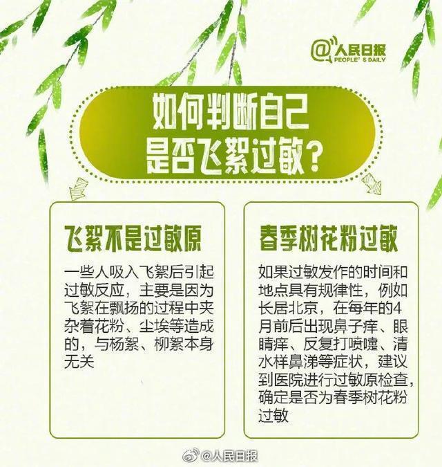  【技术解析】北京飞絮的生物学机制与精准防护指南 健康养生