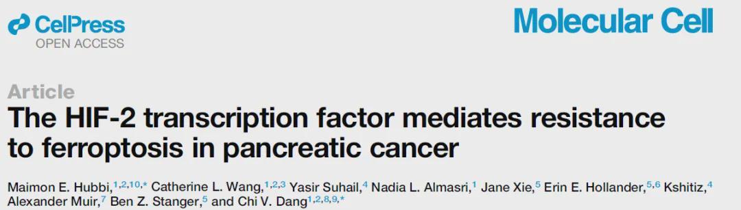  KRAS突变胰腺癌的铁死亡抵抗机制：HIF-2的双重防御通路解析 健康养生
