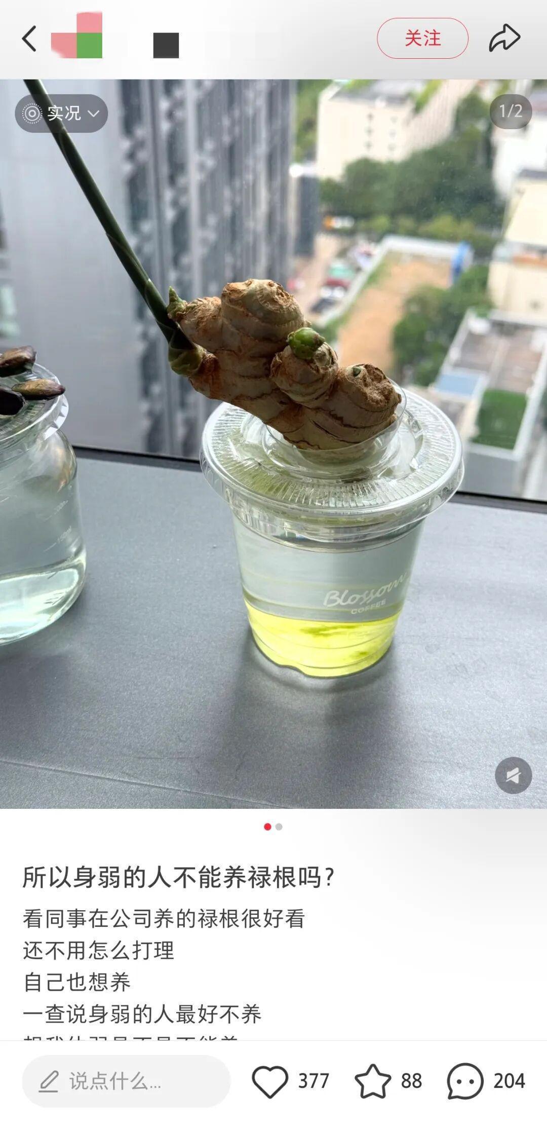  焦虑的“打工人”啊，你的办公桌上藏着情绪解药 情感心理