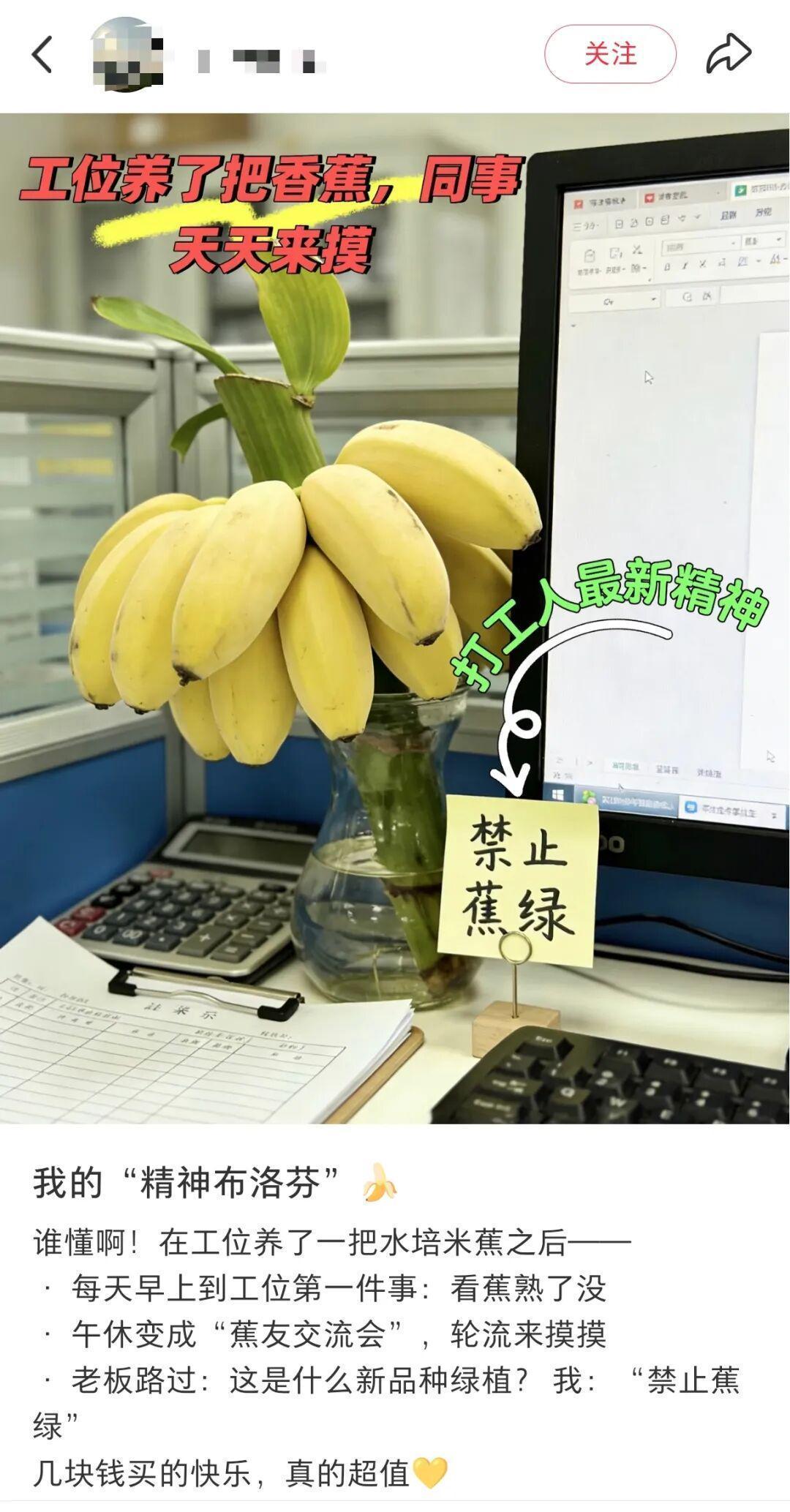  焦虑的“打工人”啊，你的办公桌上藏着情绪解药 情感心理