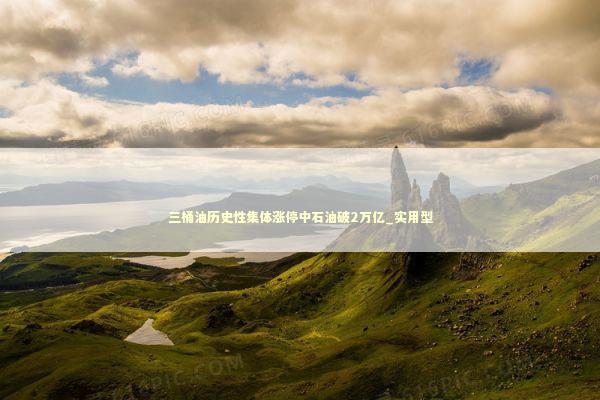 三桶油历史性集体涨停中石油破2万亿_实用型 三桶油历史性集体涨停中石油破2万亿_实用型 新闻