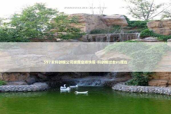 597家科创板公司披露业绩快报-科创板过去vs现在 新闻