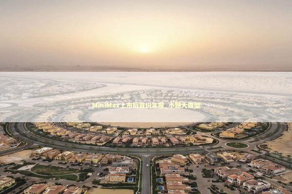 MiniMax上市后首份年报_小题大做型 新闻