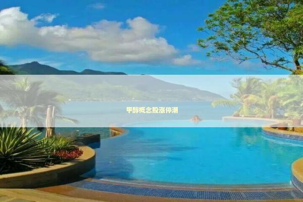 甲醇概念股涨停潮 新闻