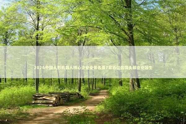 2026中国人形机器人核心企业全景名录7家百亿估值头部企业诞生 新闻