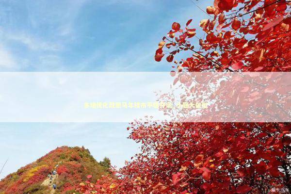 多地优化政策马年楼市平稳开局_小题大做型 新闻