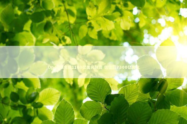 OpenAI完成1100亿美元融资 估值超7300亿美元 新闻