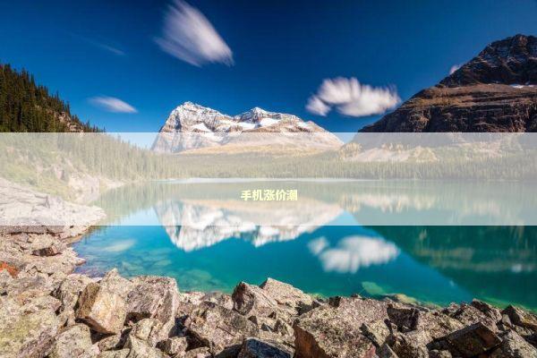 手机涨价潮 新闻