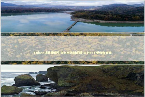 Token调用量催生电力出海新逻辑 电力ETF受资金青睐 新闻