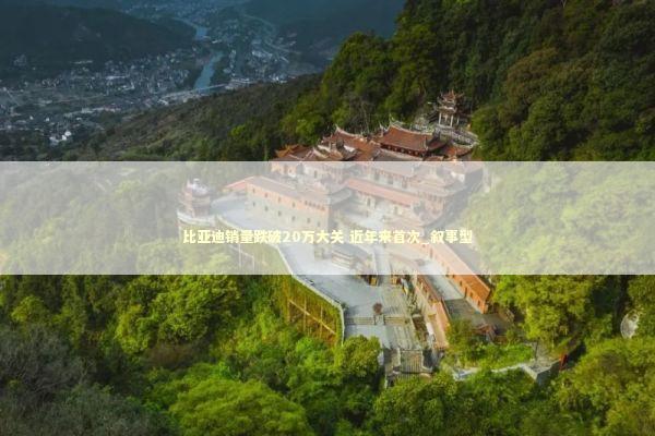 比亚迪销量跌破20万大关 近年来首次_叙事型 新闻