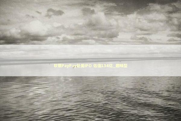 软银PayPay赴美IPO 估值134亿_趣味型 新闻