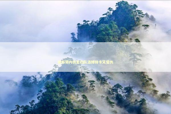 德布劳内伤愈归队洛博特卡又受伤 新闻