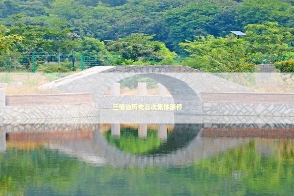 三桶油历史首次集体涨停 新闻