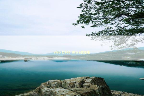 vivo X300 Ultra实用版 新闻