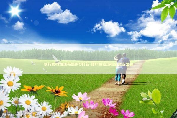 银行理财加速布局IPO打新 硬科技赛道吸金效应显著 新闻