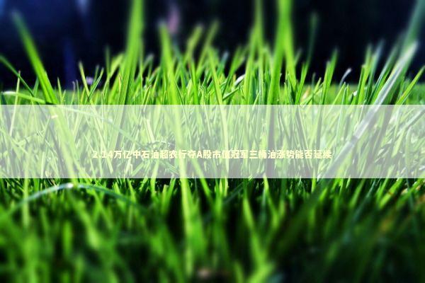 2.14万亿中石油超农行夺A股市值冠军三桶油涨势能否延续