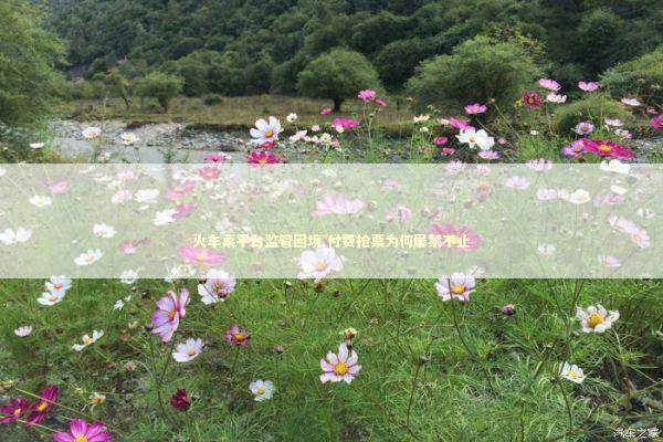 火车票平台监管困境 付费抢票为何屡禁不止 新闻