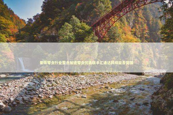 量贩零食行业整合加速零食优选联手汇通达网络能否突围 量贩零食行业整合加速零食优选联手汇通达网络能否突围 新闻