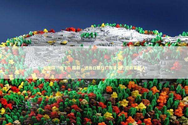 周亮球“南下”履新，进出口银行广东省分行迎新掌舵人 新闻