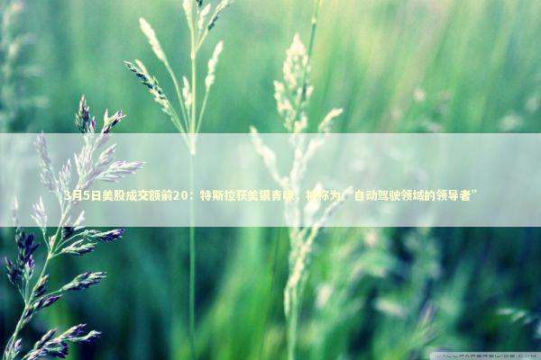 3月5日美股成交额前20：特斯拉获美银青睐，被称为“自动驾驶领域的领导者” 新闻