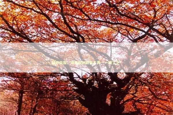 经济日报：培育科创新苗不再“一拨了之” 新闻