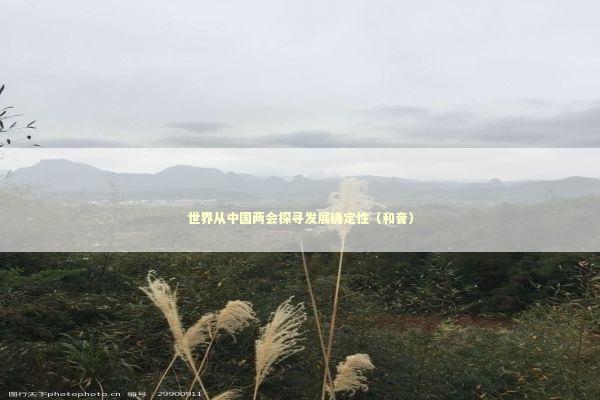 世界从中国两会探寻发展确定性（和音） 新闻