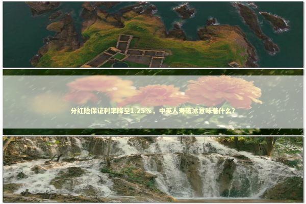 分红险保证利率降至1.25%，中英人寿破冰意味着什么？ 新闻