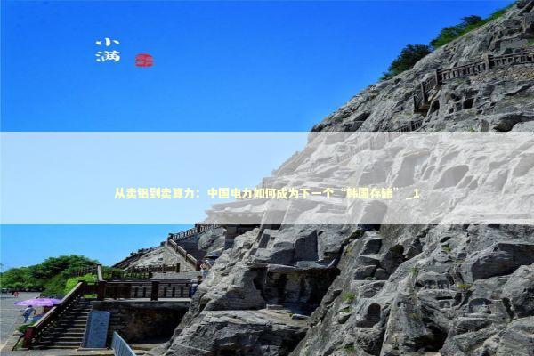 从卖铝到卖算力：中国电力如何成为下一个“韩国存储”_1 新闻