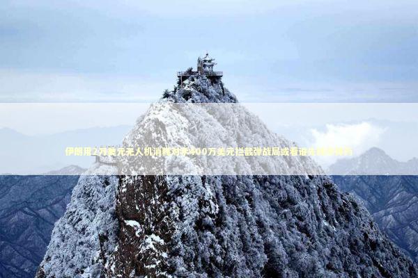 伊朗用2万美元无人机消耗对手400万美元拦截弹战局或看谁先耗尽弹药 新闻