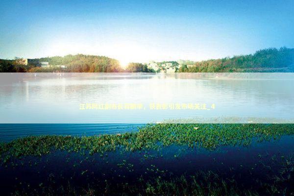 江苏网红副市长蒋鹏举，获表彰引发市场关注_4 新闻