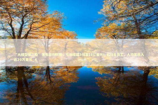 “大模型第二股”发布首份财报,亏损增超3倍至18亿美元!428名员工,人均年收入近20万美元_4 “大模型第二股”发布首份财报,亏损增超3倍至18亿美元!428名员工,人均年收入近20万美元_4 新闻